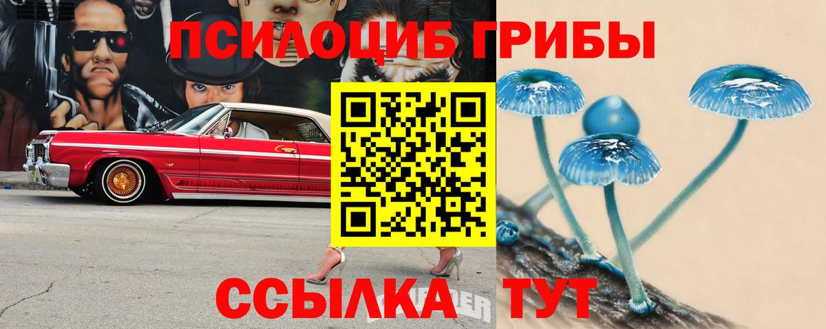 Псилоцибиновые грибы прущие грибы Сафоново